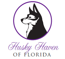 husky-haven-florida-logo