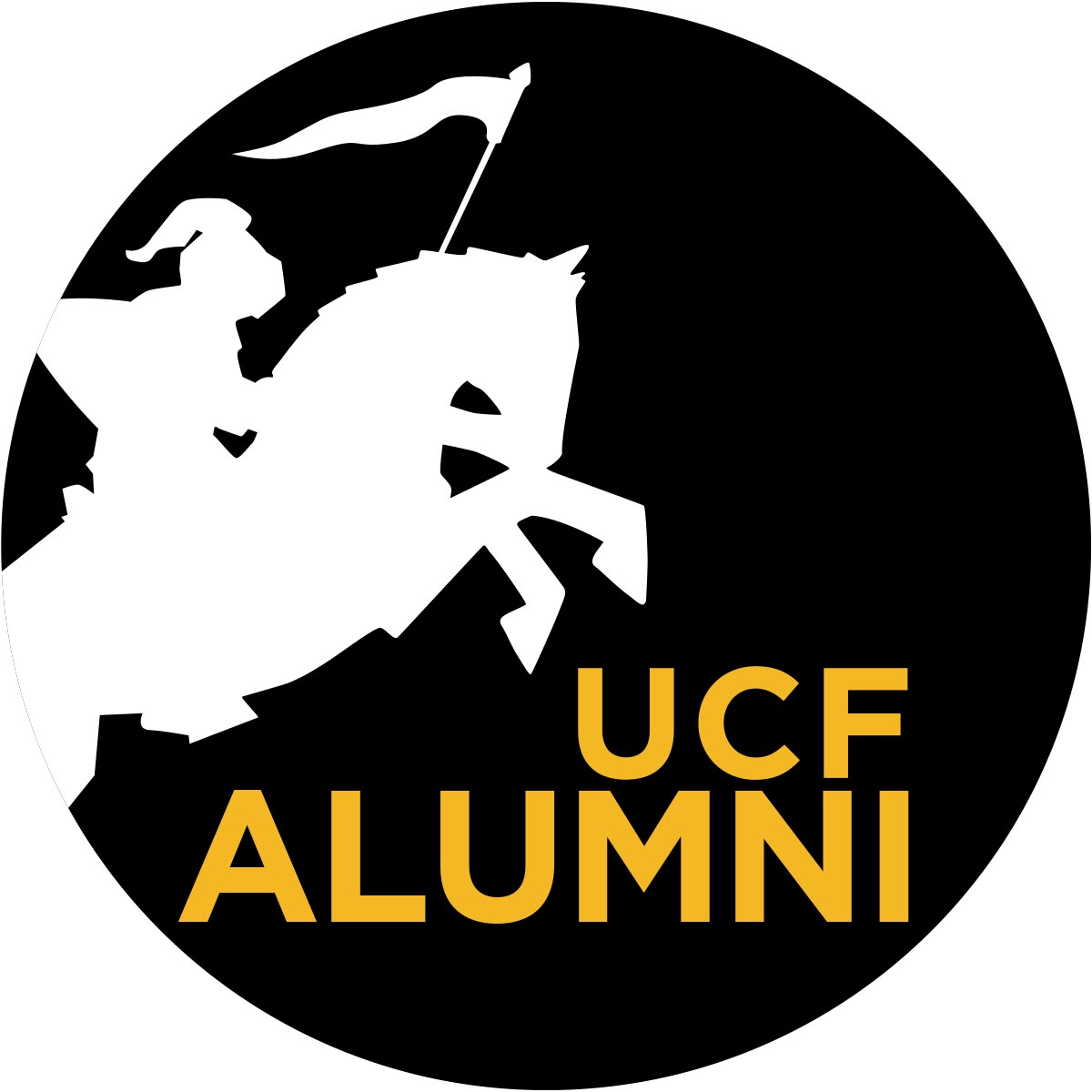 University of Central Florida Alumni Interview